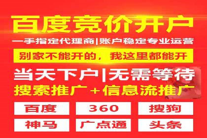 SEM代理助力企业：案例分享，优化策略全解析